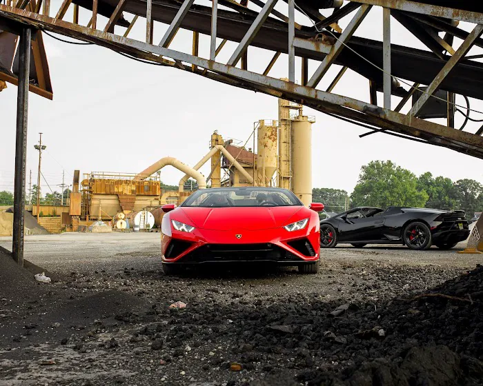 Mob Exotic Picture 5