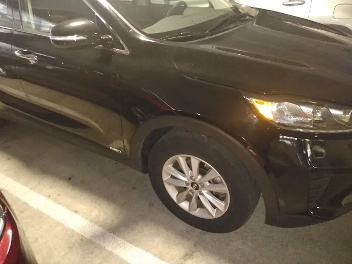 Avis Car Rental Picture 10