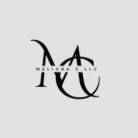 Meliora C LLC ico