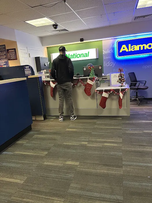 Alamo Rent A Car Picture 5