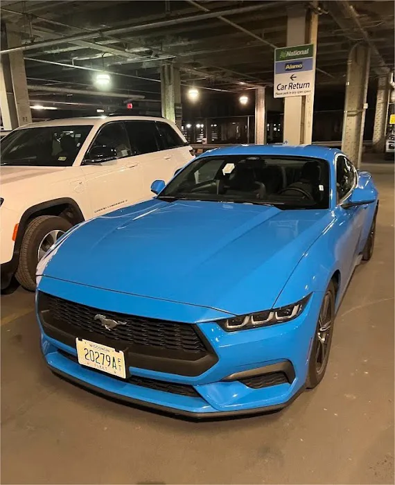 Alamo Rent A Car Picture 4