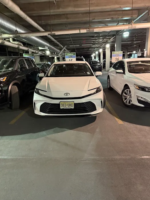 Alamo Rent A Car Picture 10