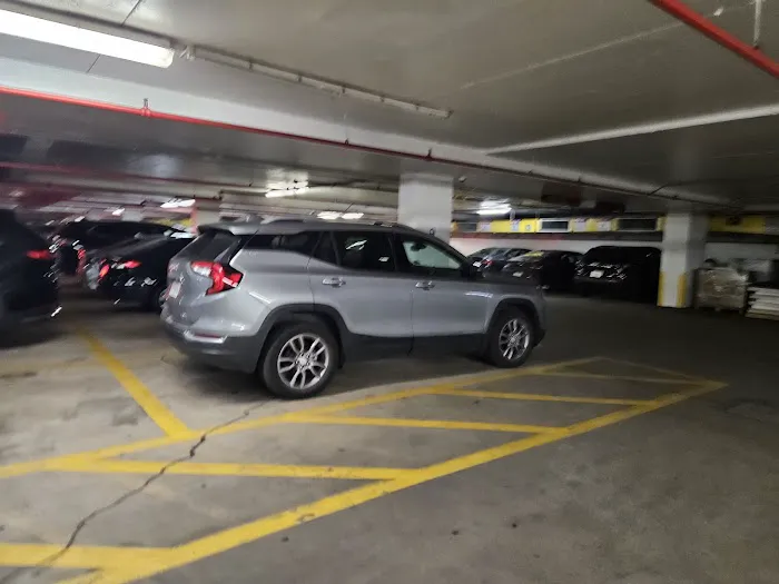 Budget Car Rental Picture 1
