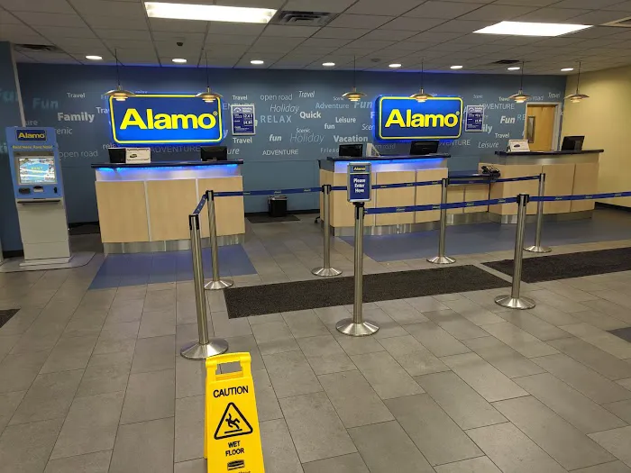 Alamo Rent A Car Picture 2
