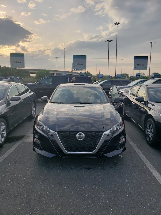 Alamo Rent A Car Picture 1