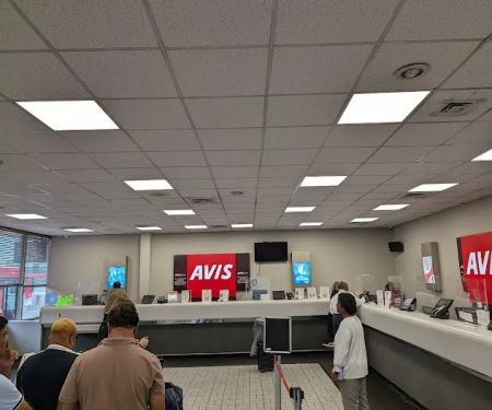 Avis Car Rental
