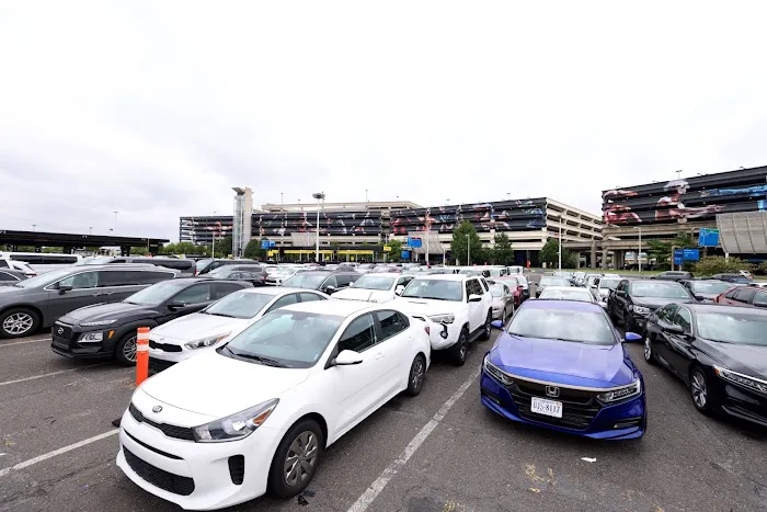Avis Car Rental Picture 4