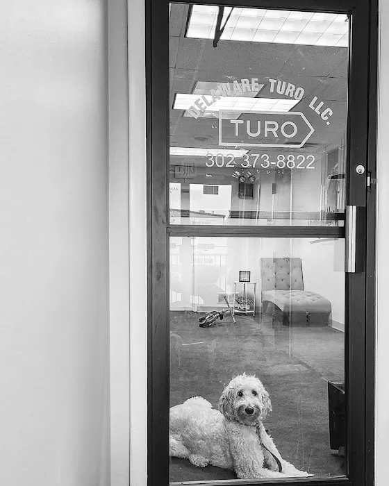 Delaware Turo LLC. Picture 4