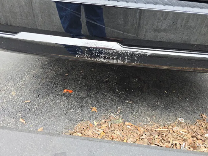 Payless Car Rental Picture 10
