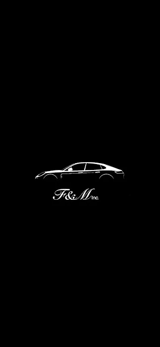 F & M Car Rentals Picture 7