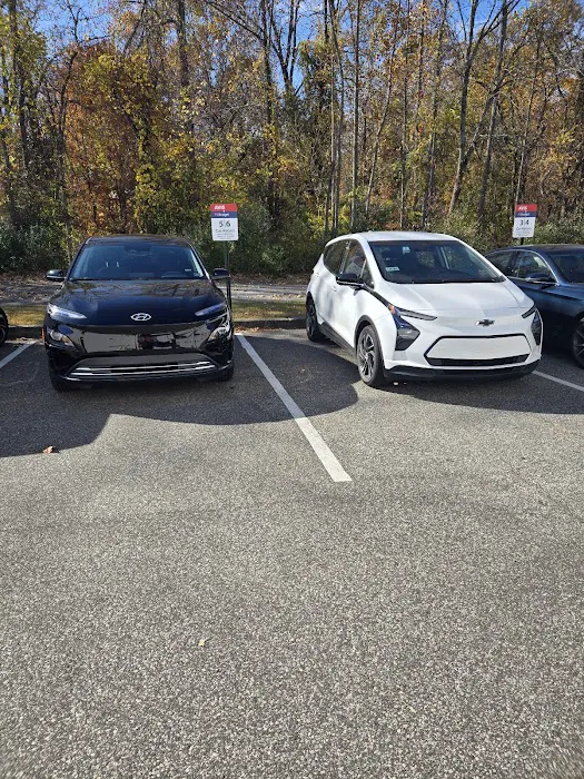 Avis Car Rental Picture 5