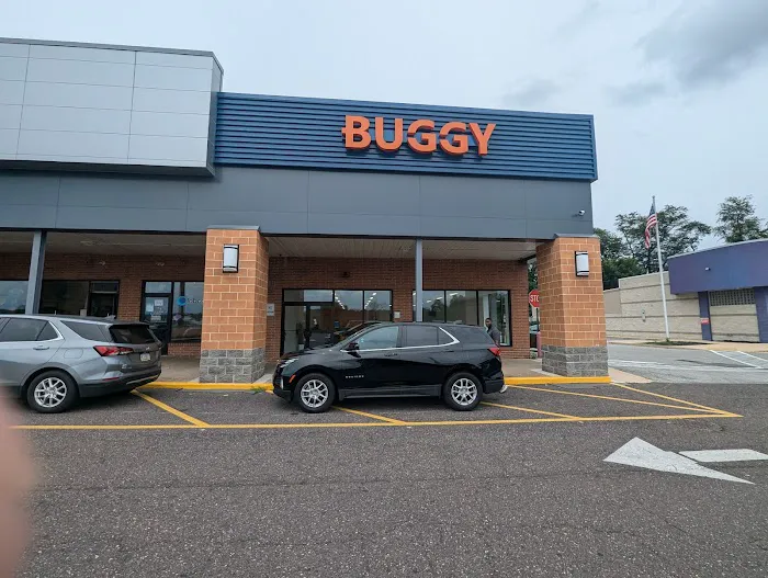 Buggy Rideshare Rental - Philadelphia Picture 3