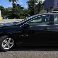 Buggy Rideshare Rental - Philadelphia ico