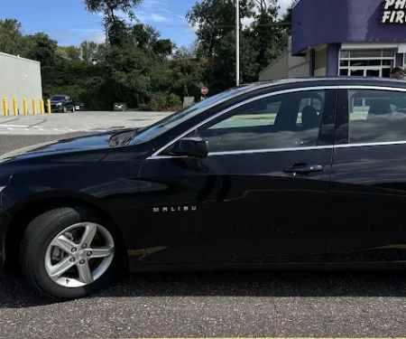 Buggy Rideshare Rental - Philadelphia
