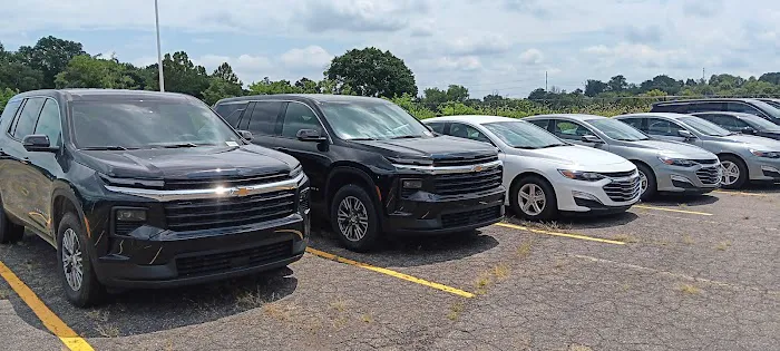 Buggy Rideshare Rental - Philadelphia Picture 5