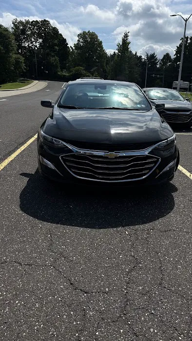 Buggy Rideshare Rental - Philadelphia Picture 8
