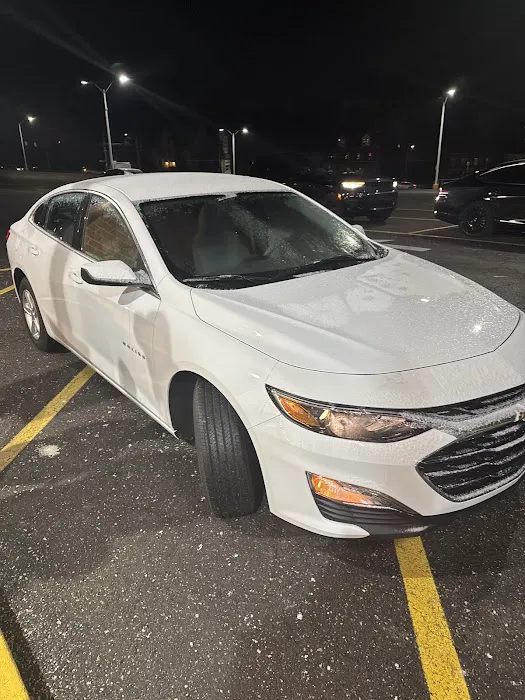 Buggy Rideshare Rental - Philadelphia Picture 7