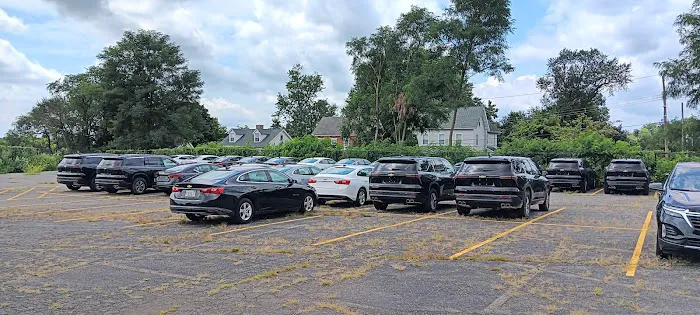 Buggy Rideshare Rental - Philadelphia Picture 6