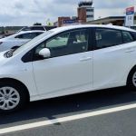 Avis Car Rental