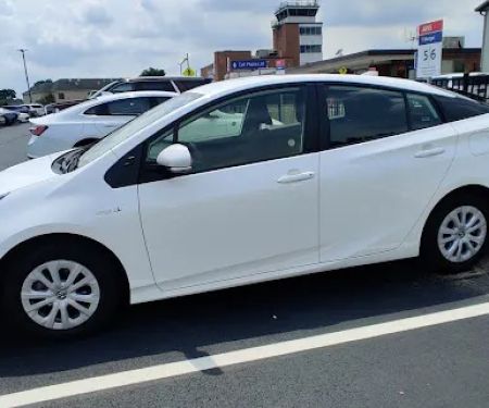 Avis Car Rental