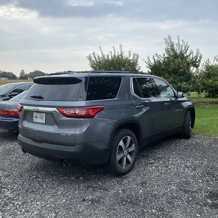 Payless Car Rental Picture 2