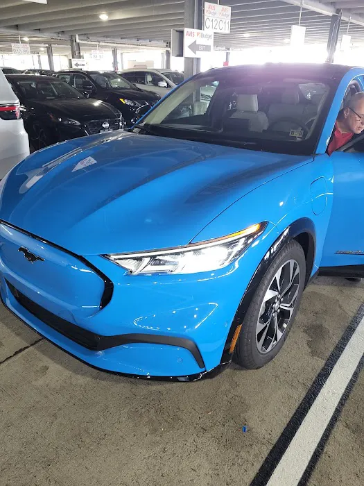 Budget Car Rental Picture 8