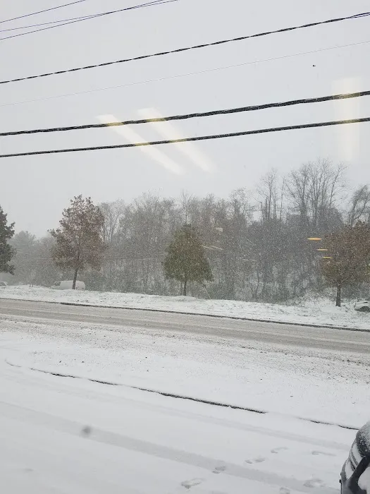 Enterprise Rent-A-Car Picture 6