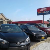Avis Car Rental ico