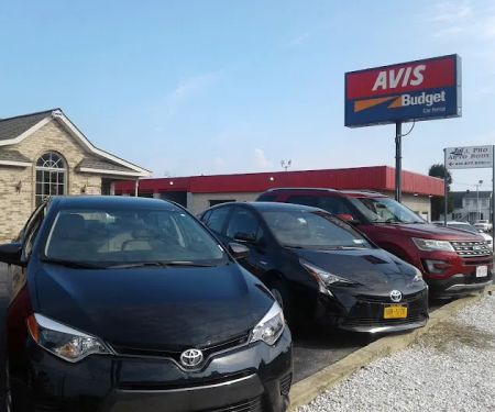 Avis Car Rental
