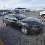 Avis Car Rental