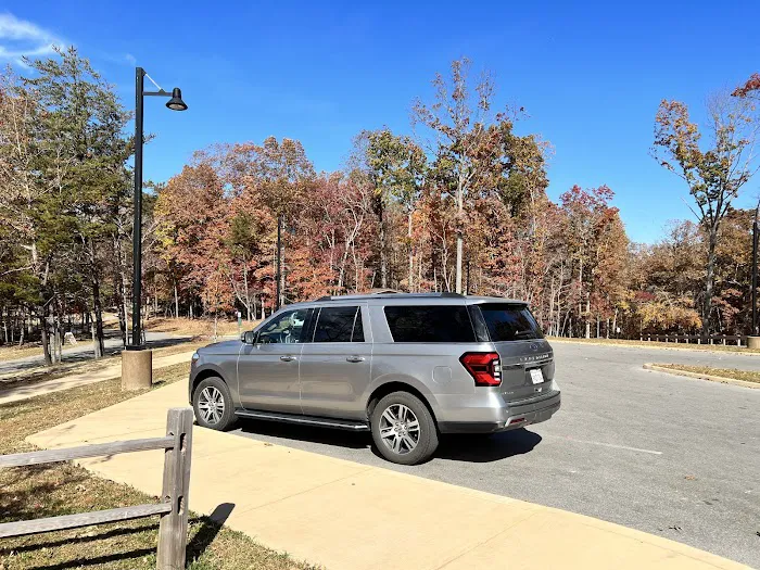 Budget Car Rental Picture 3