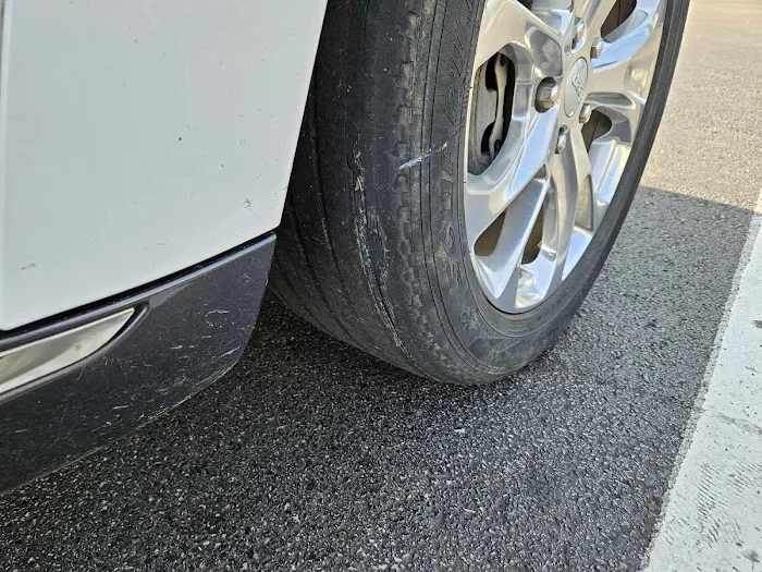 Budget Car Rental Picture 3
