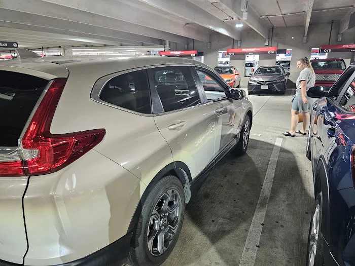 Budget Car Rental Picture 10