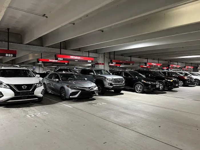 Avis Car Rental Picture 1