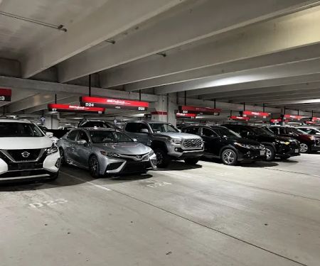 Avis Car Rental