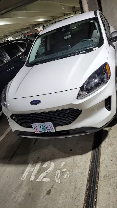 Avis Car Rental Picture 9