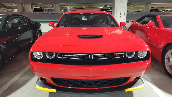 Avis Car Rental Picture 8