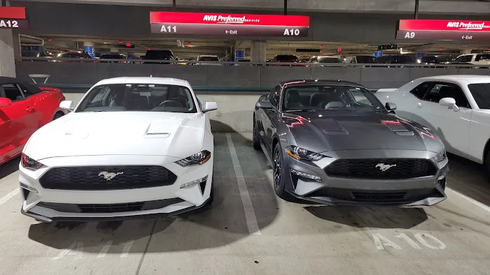 Avis Car Rental Picture 7