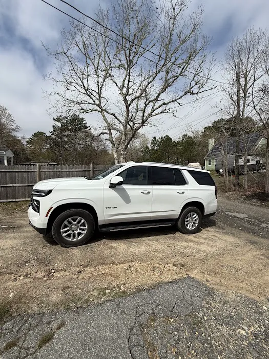 Alamo Rent A Car Picture 3