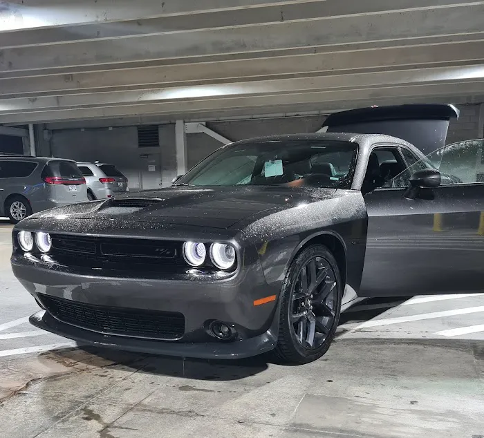 Alamo Rent A Car Picture 6