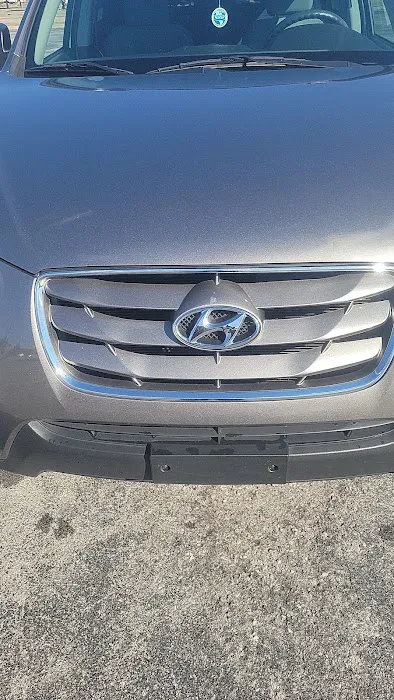 Nala Grace Car Rentals Picture 1