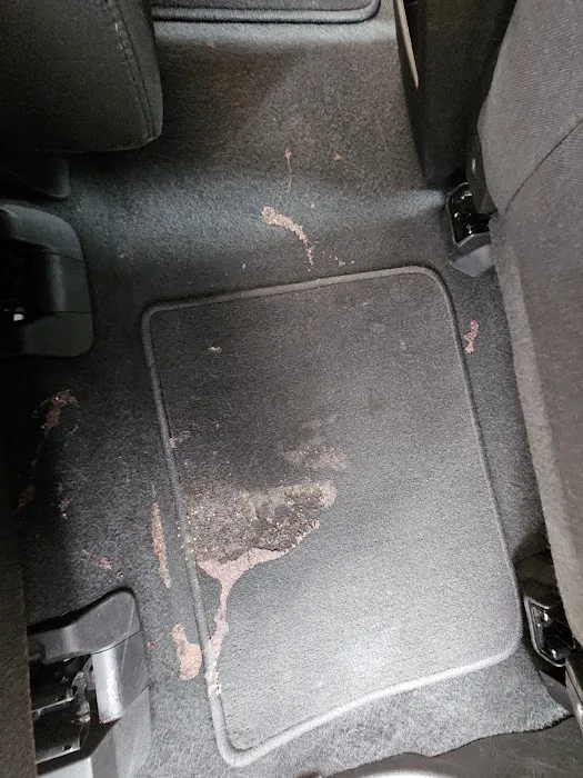Avis Car Rental Picture 3