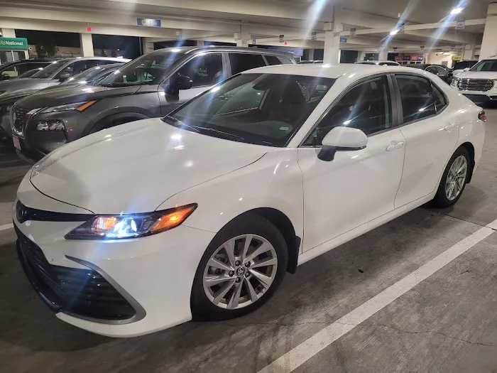 Alamo Rent A Car Picture 6