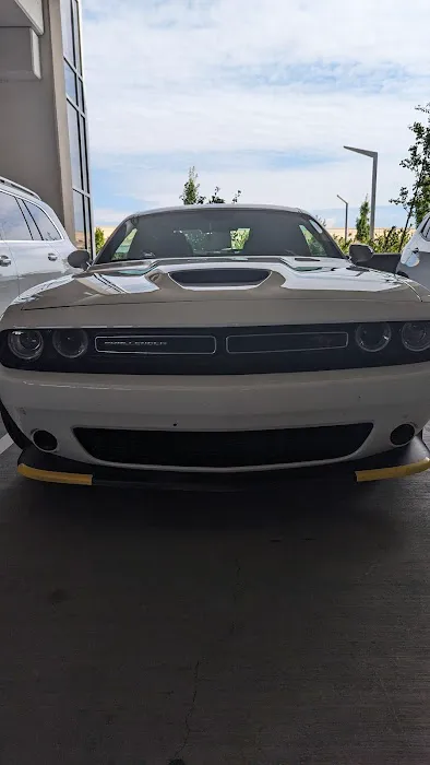 Alamo Rent A Car Picture 7
