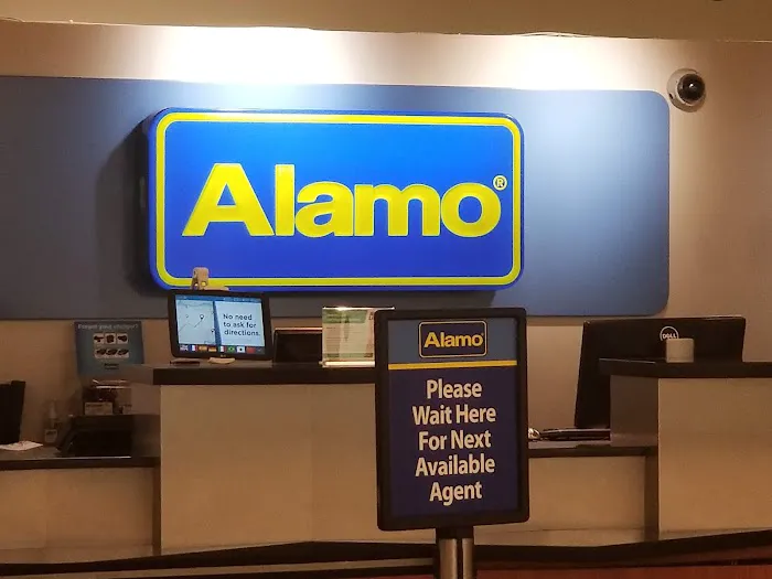 Alamo Rent A Car Picture 6