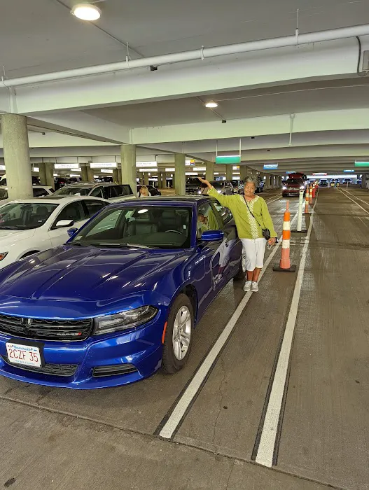 Alamo Rent A Car Picture 4
