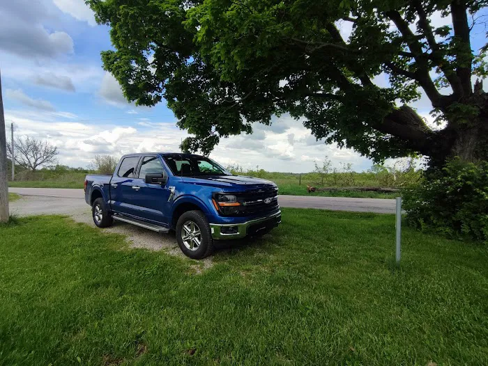 Alamo Rent A Car Picture 8