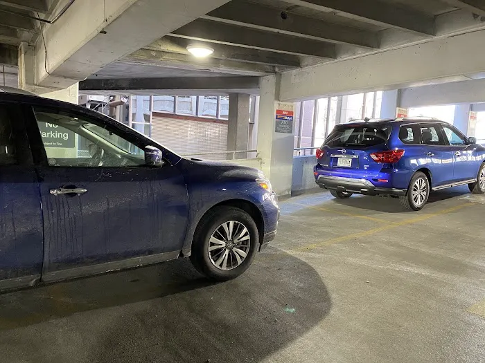 Avis Car Rental Picture 4