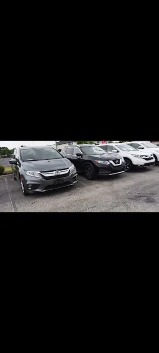 Dimmples car rentals Picture 5