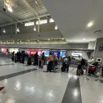 Avis Car Rental